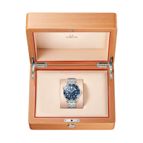 Omega Seamaster Professional Diver 300M